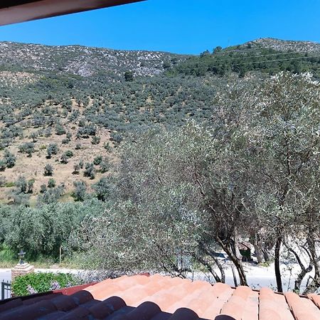Sirince Klaseas Hotel&Restaurant Selcuk ภายนอก รูปภาพ