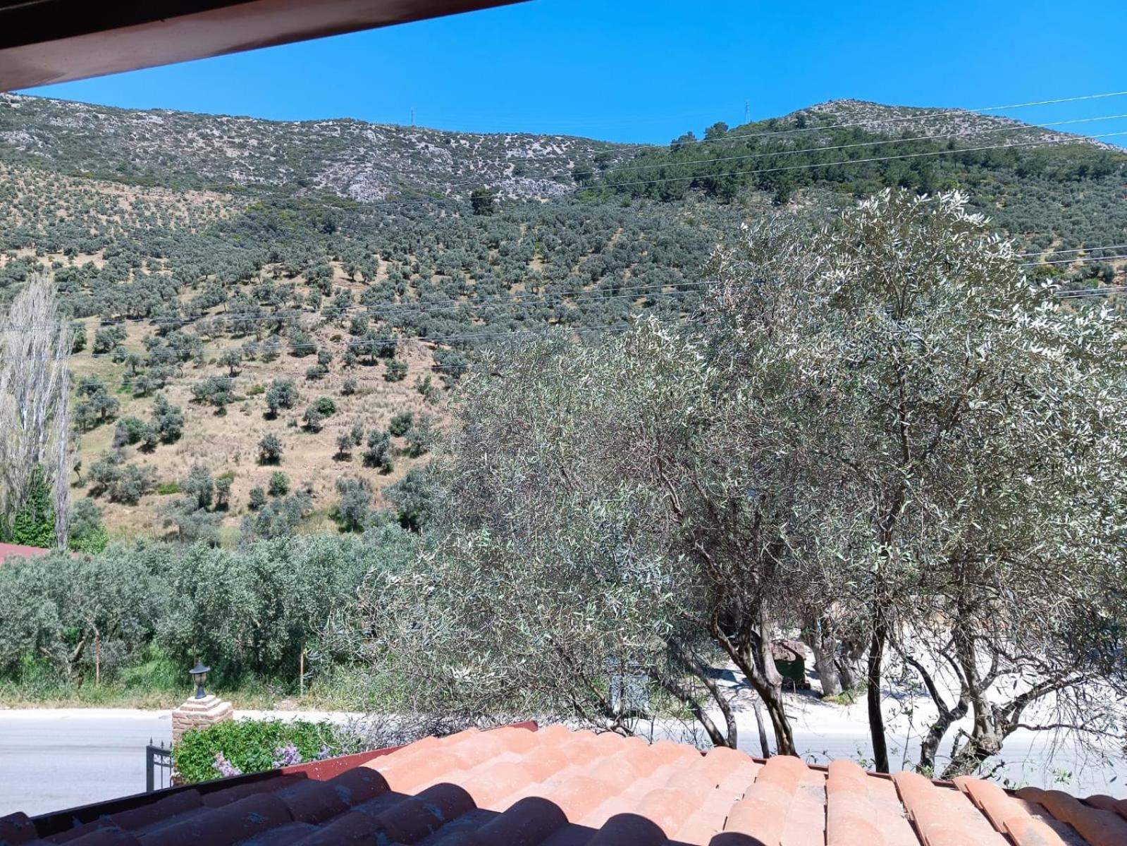 Sirince Klaseas Hotel&Restaurant Selcuk ภายนอก รูปภาพ