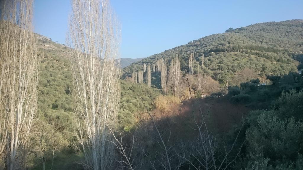 Sirince Klaseas Hotel&Restaurant Selcuk ภายนอก รูปภาพ